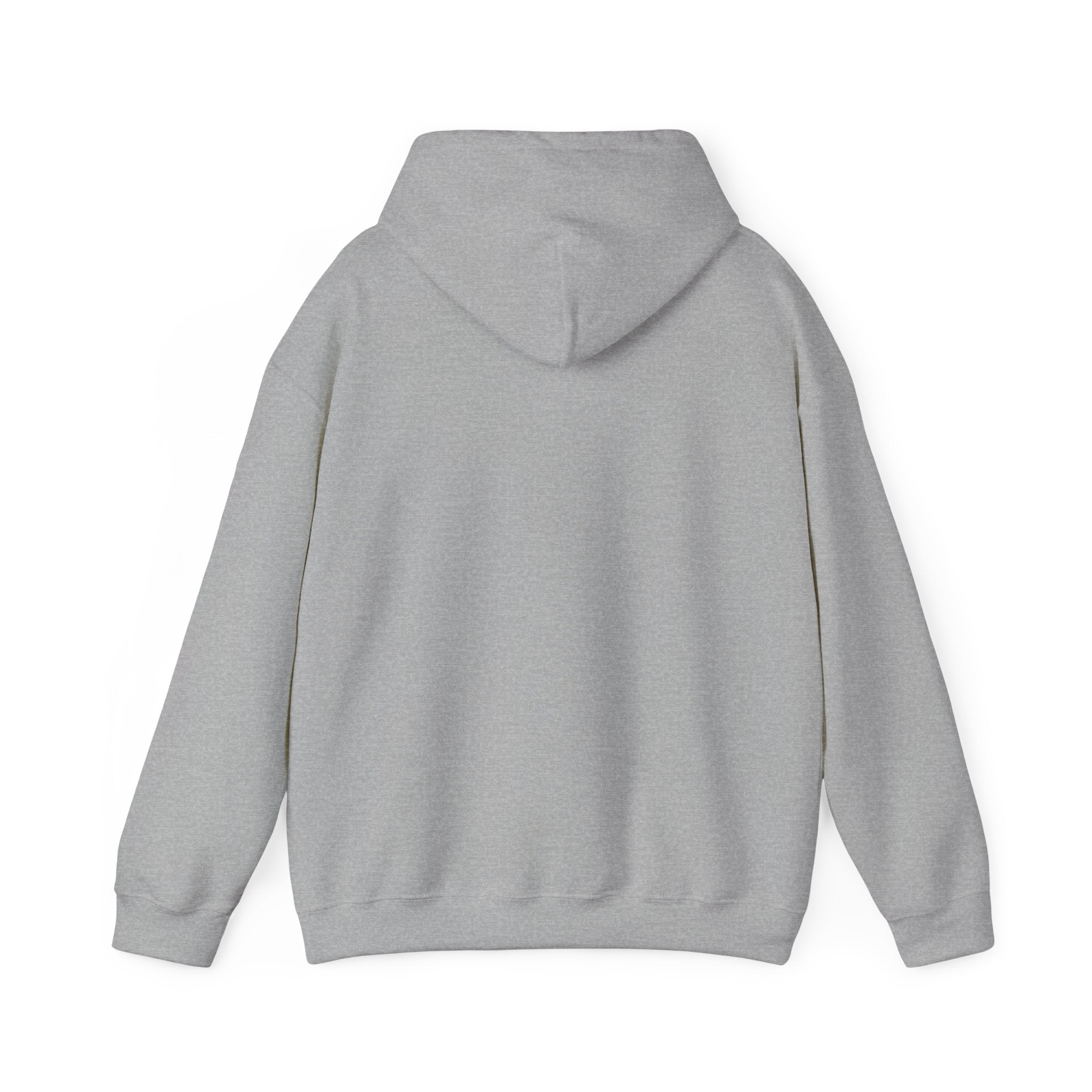 Hoodie XDLV GENEVE