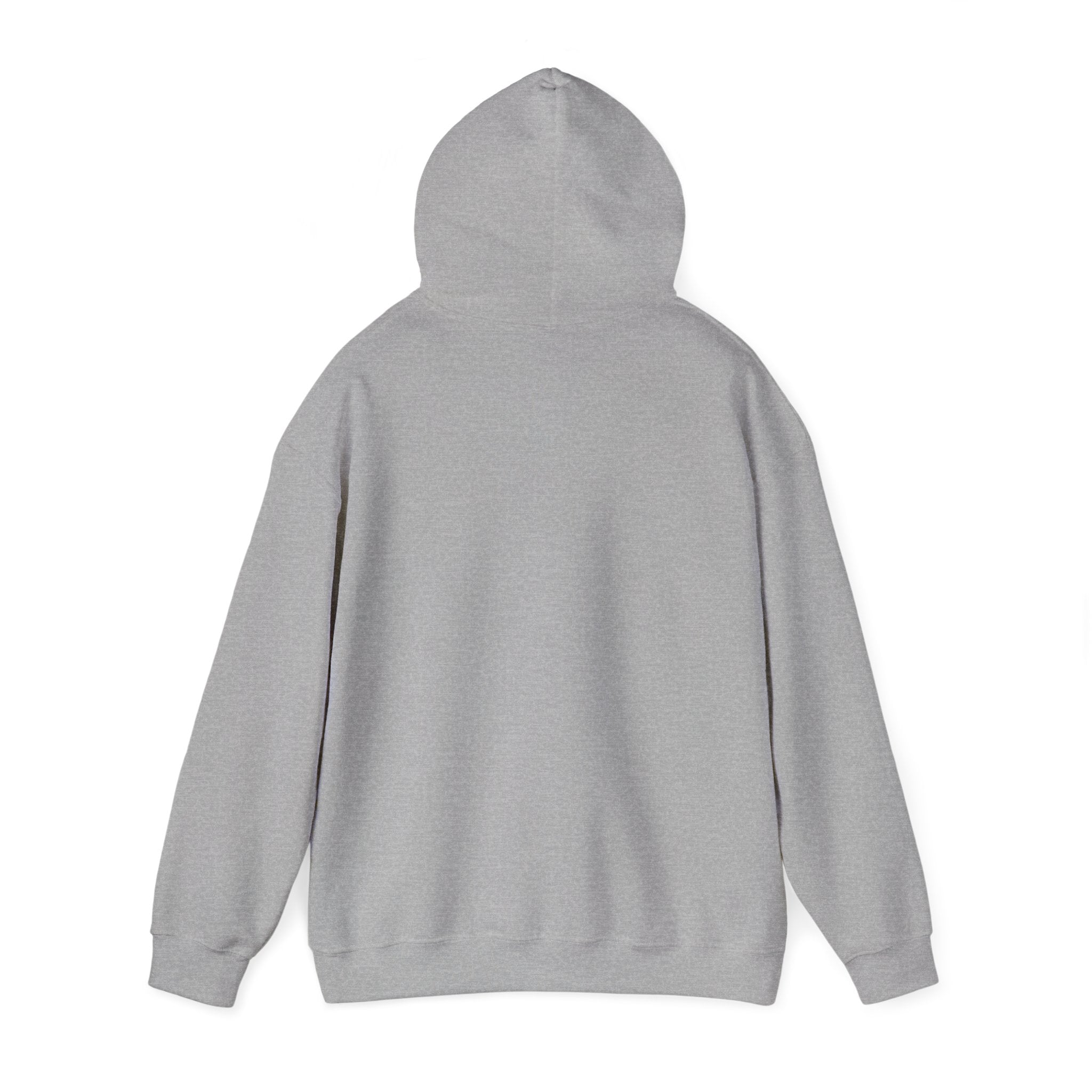 Hoodie XDLV GENEVE
