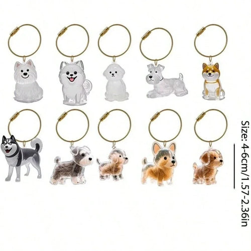 Boîte Souvenir Transparente pour Poils d'Animal - Porte-clés